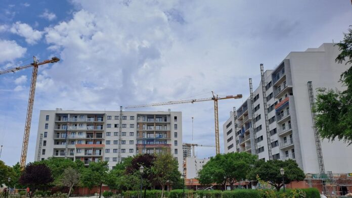 9306204_0031-11f1-ba0d-005056bd5094_Patraix (1)