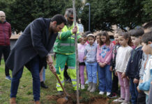 L’alumnat de primària de Mislata planta espècies autòctones pel Dia de l’Arbre L'alumnat de primària de Mislata planta espècies autòctones pel Dia de l'Arbre