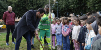 L'alumnat de primària de Mislata planta espècies autòctones pel Dia de l'Arbre