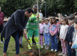 L’alumnat de primària de Mislata planta espècies autòctones pel Dia de l’Arbre L'alumnat de primària de Mislata planta espècies autòctones pel Dia de l'Arbre