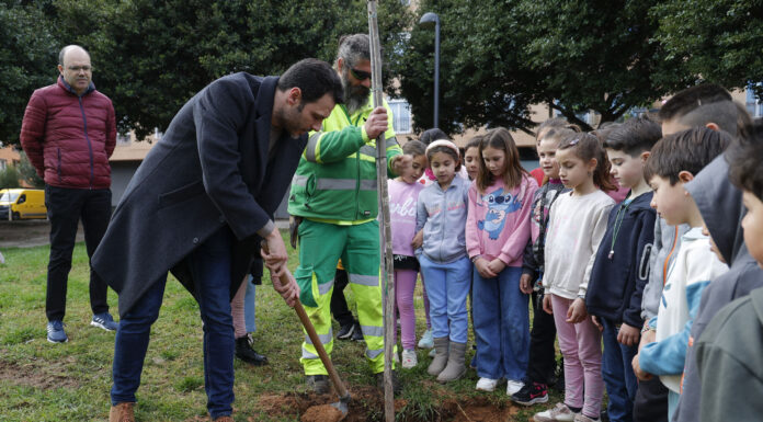 L'alumnat de primària de Mislata planta espècies autòctones pel Dia de l'Arbre
