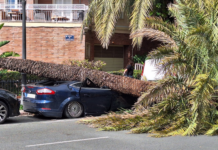 Alerta por fuerte viento: Valencia cierra parques, jardines y cementerios y suspende actividades al aire libre viento