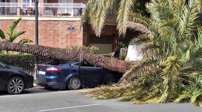 Alerta por fuerte viento: Valencia cierra parques, jardines y cementerios y suspende actividades al aire libre viento