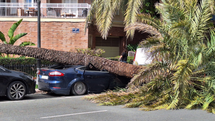 7televalencia-borrasca-leonardo (2) viento