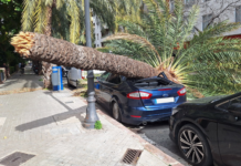 Un vendaval histórico sacude Valencia y deja dos heridos en el centro de la ciudad Un vendaval histórico sacude Valencia y deja dos heridos en el centro de la ciudad