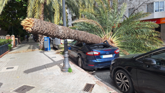 Un vendaval histórico sacude Valencia y deja dos heridos en el centro de la ciudad