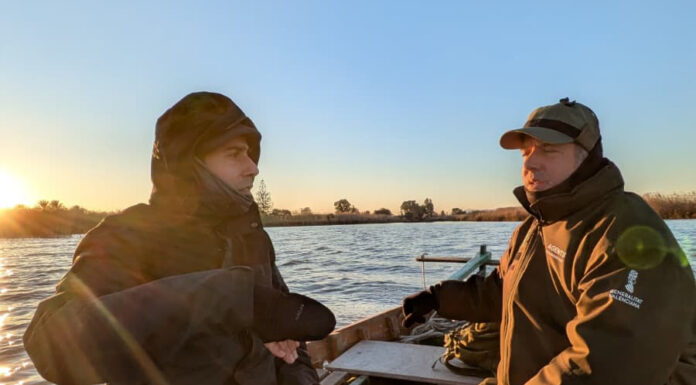 Una plataforma evalúa en tiempo real el estado de salud de la Albufera