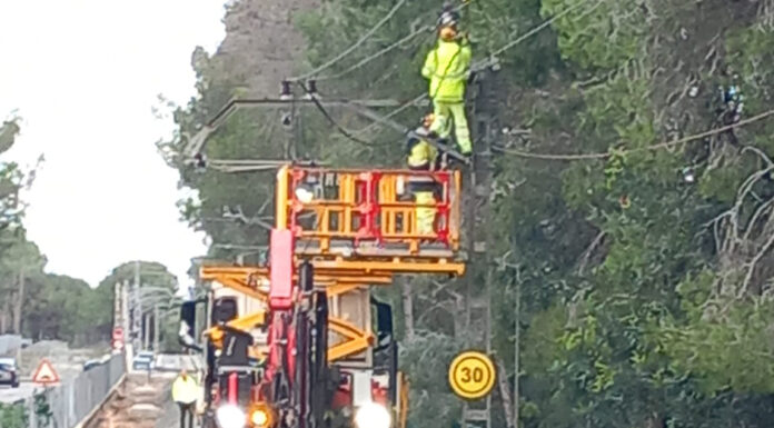 Cortan la Línea 2 de Metro entre Paterna y L’Eliana por la caída de un pino