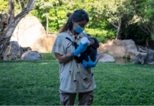 Bioparc, referente en la integración de las mujeres El BIOPARC, referentes en la integración de las mujeres