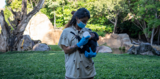 El BIOPARC, referentes en la integración de las mujeres