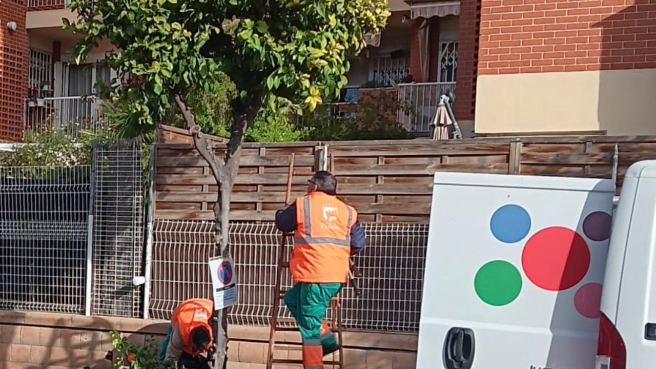 Paterna realitza la campanya anual de recollida de fruits i neteja