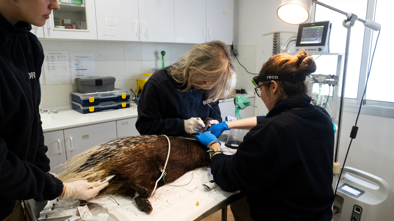 Los BIOPARC son referentes en la integración de las mujeres