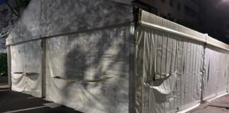 Carpa rajada en Aldaia