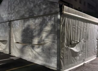 Carpa rajada en Aldaia