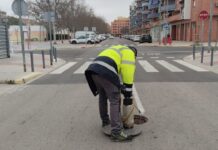 Continuen a Alaquàs els controls de plagues de rosegadors i paneroles Control de plagues a Alaquàs