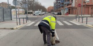 Control de plagues a Alaquàs