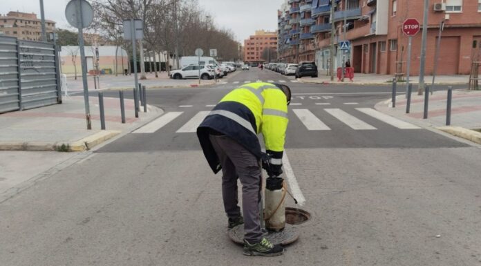 Control de plagues a Alaquàs