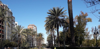 Encuentran muerto a un hombre sin hogar en un banco de Jacinto Benavente Encuentran muerto a un hombre sin hogar en un banco de Jacinto Benavente