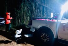 Amplio dispositivo para buscar a un hombre desaparecido en Requena Trabajos de búsqueda en Requena