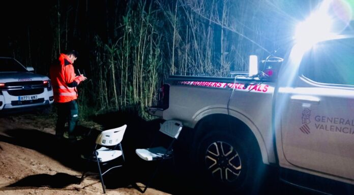 Trabajos de búsqueda en Requena