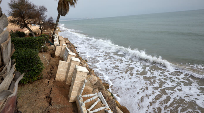 Las playas de València llegan a Semana Santa en «situación crítica» Playas de Tavernes de la Valldigna. FOTO: EFE/Natxo Francés