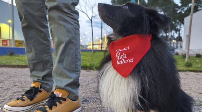 L’Àrea de Benestar Animal de Quart de Poblet reparteix mocadors identificatius per als gossos.