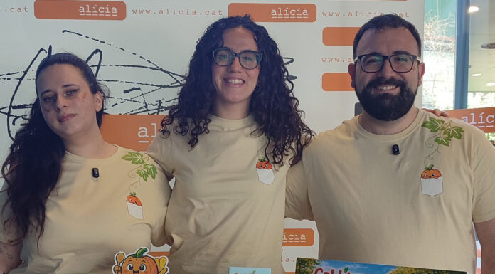Crean un snack valenciano y saludable hecho a base de crema de calabaza y garrofón