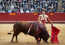 Feria de Fallas 2026: ¿Quién torea esta tarde?