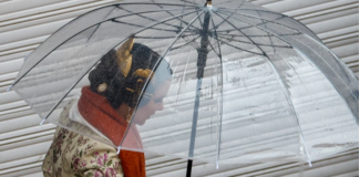 La borrasca Regina descarga con fuerza en Valencia y activa más alertas para el fin de semana