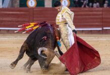 Comienza la Feria de Fallas 2026: ¿Quién torea este fin de semana?