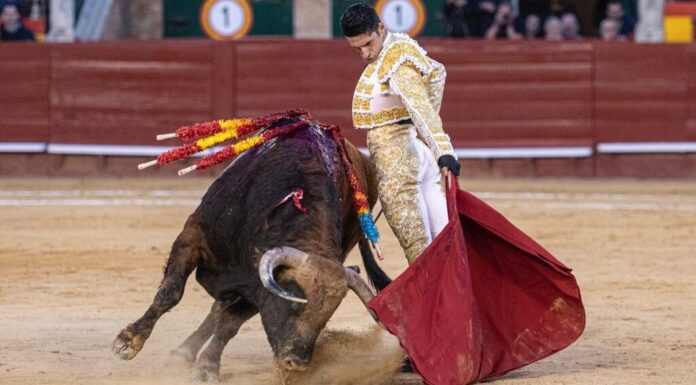 Comienza la Feria de Fallas 2026: ¿Quién torea este fin de semana?