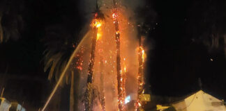 Arden cuatro palmeras en el marítimo provocado por un cable eléctrico