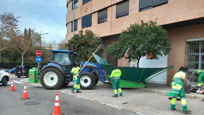 7televalencia-recogida-naranjas Retirada taronges arbres via pública / Ayto València