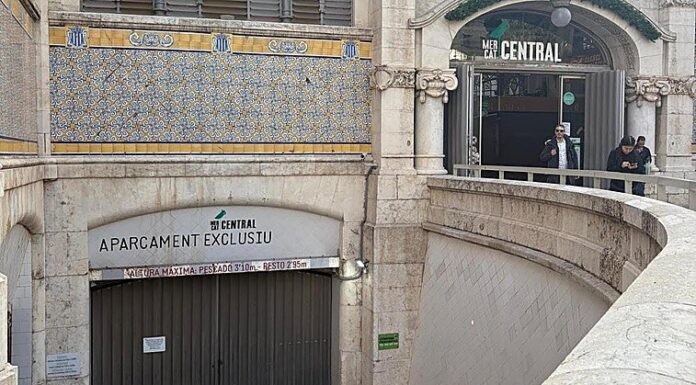 Así será el control de acceso de los vehículos al Mercado Central