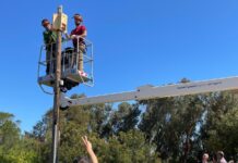 La Devesa-Albufera cuenta con más de 80 refugios para murciélagos