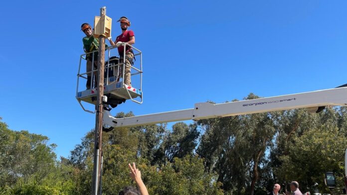 0417 Gosalbez. Dia Mundial Rates Penades (Nova web)