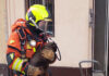 Rescatan a cuatro gatos y un hámster en un incendio en Alzira