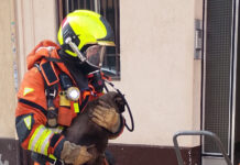 Rescatan a cuatro gatos y un hámster en un incendio en Alzira