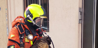 Rescatan a cuatro gatos y un hámster en un incendio en Alzira
