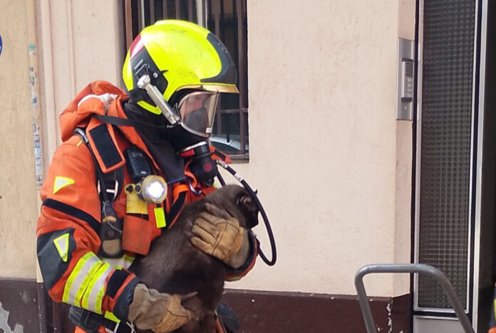 669838793_972278048513396_3266435866714792746_n