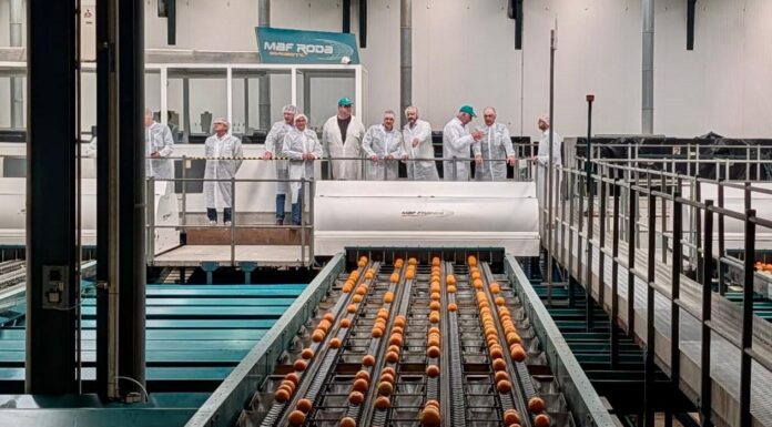 La Policia de la Generalitat fa més de 700 inspeccions i controla la traçabilitat de quasi 5.000 tones de productes hortofructícoles Operació Taronja de la Policia Autonòmica