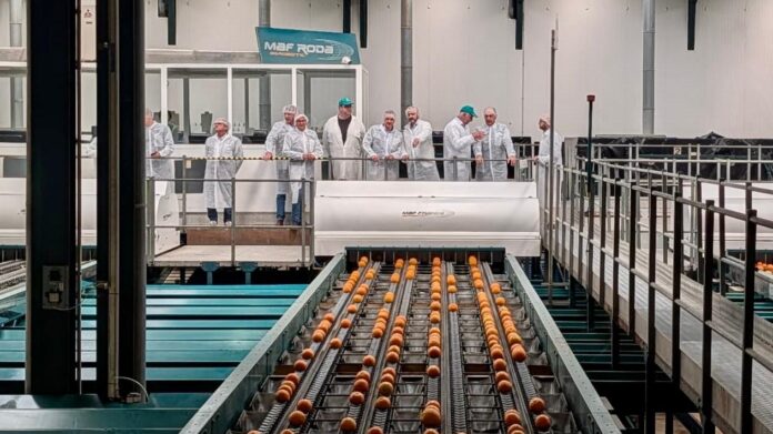 7televalencia 260416_EMER_Foto1_operacion_Taronja Operació Taronja de la Policia Autonòmica