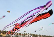 Esta es la nueva fecha para disfrutar del Festival de Cometas de València Esta es la nueva fecha para disfrutar del Festival de Cometas de València