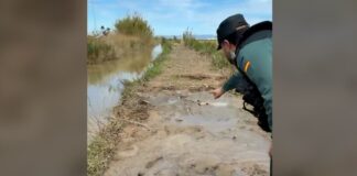 Guardia Civil en la zona de la Albufera donde localizaron al hombre