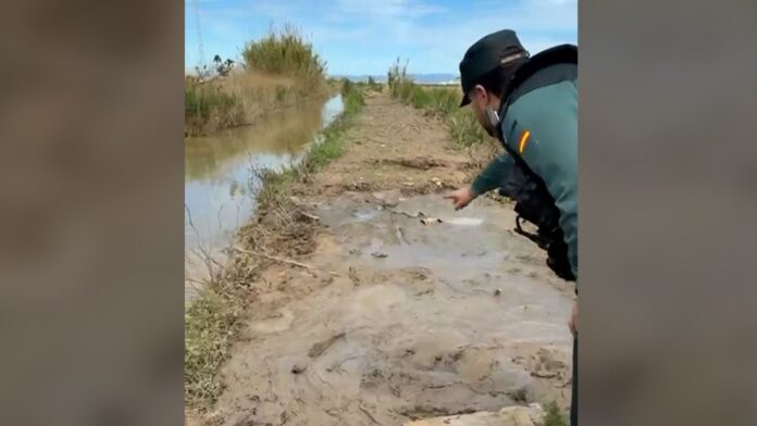 Guardia Civil en la zona de la Albufera donde localizaron al hombre