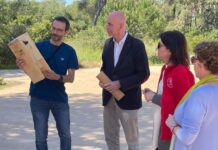 València instal·la més de 80 nius artificials pel Dia Mundial de les Rates Penades Nius ratpenats