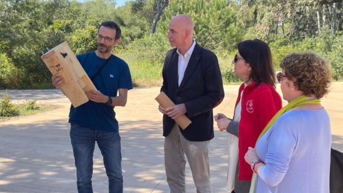 7televalencia nius ratspenats Nius ratpenats