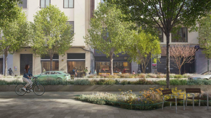 Más árboles, más sombra y más espacio peatonal: así será la nueva plaza de San Agustín