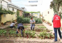 Más de 1141 personas accedieron a un puesto de trabajo en 2025 con el apoyo de Cáritas Valencia