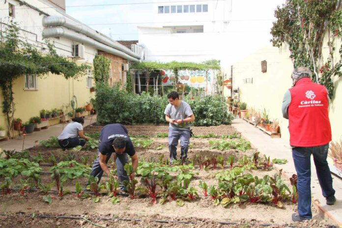 Centro-prelaboral-Mambre-web